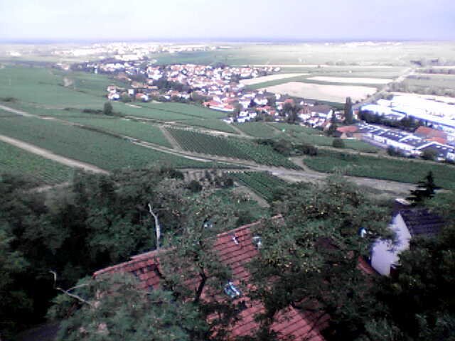 View from Burg Neuleiningen by Stefan Moll