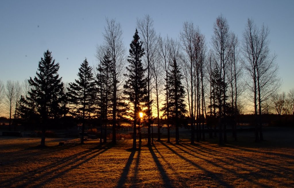 Morning Sun at Birds Hill Park, MB by R. Halim