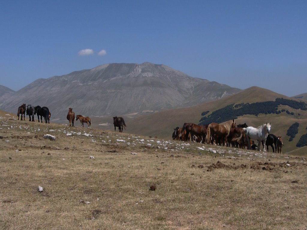 Piana castelluccio (DC) by corinasdavide