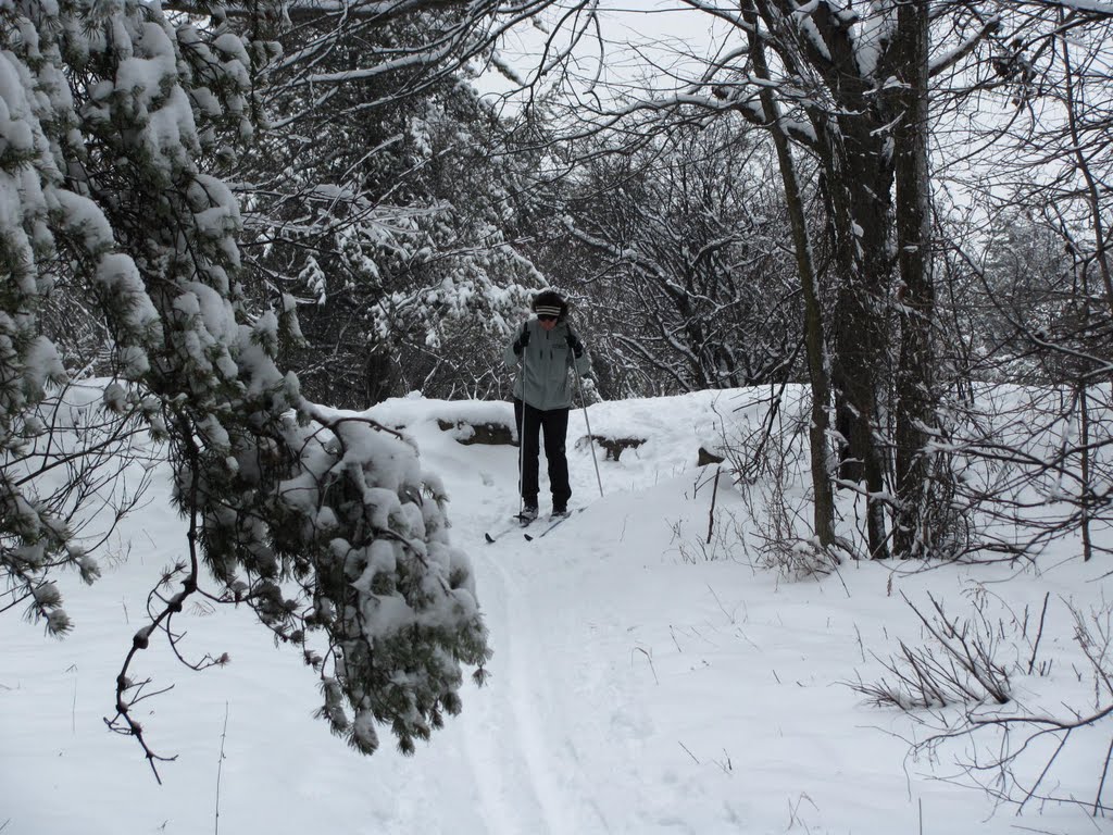 Winter skiing in Ottawa by paulpat