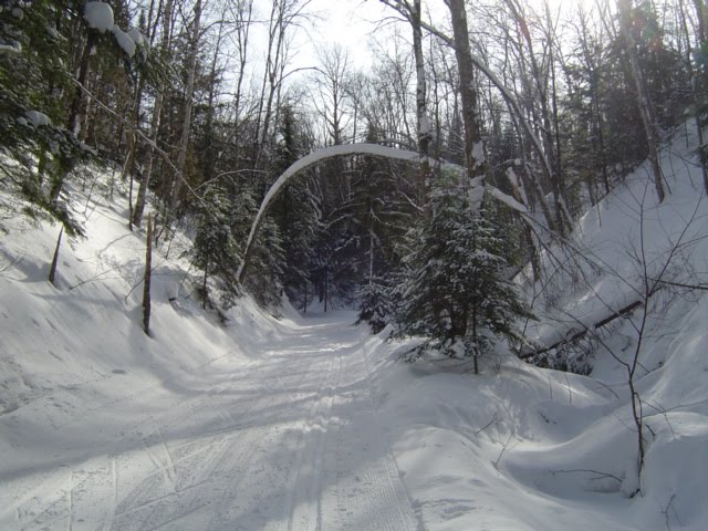 Mont Tremblant cross country skiing beauty by paulpat