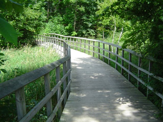 Serenity of a Boardwalk - Orangeville by paulpat