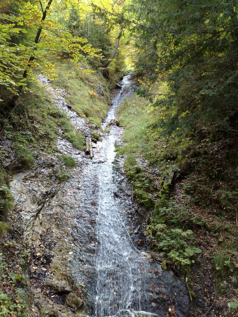 02.10.2010. _ Hohenschwangau by Sandor Bordas