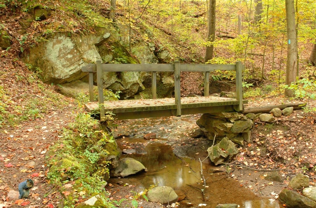 Along the Buckeye Trail - Oct 2, 2010 by allanlewicki