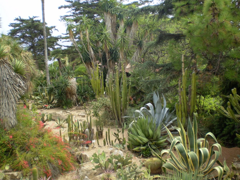 Jardin botanique BLANES by Bruno ZERR