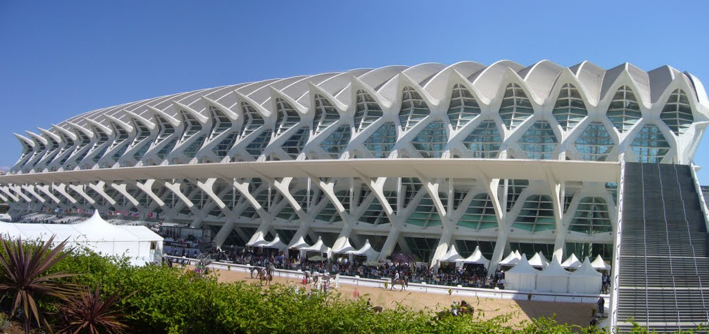 Museo de las Ciencias Principe Felipe. Ciudad de las Artes y las Ciencias. Valencia. by "salva"