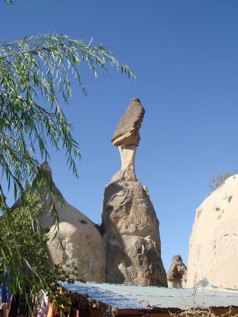 Turkey_Cappadocia pasabag09 by m_kodate