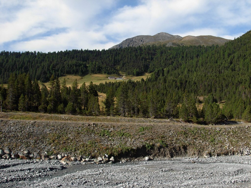 Alp Buffalora by Hedinger W.