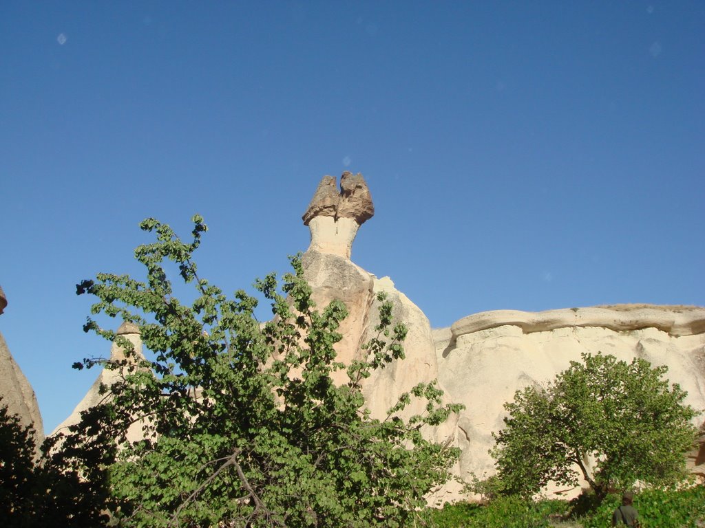 Turkey_Cappadocia pasabag11 by m_kodate