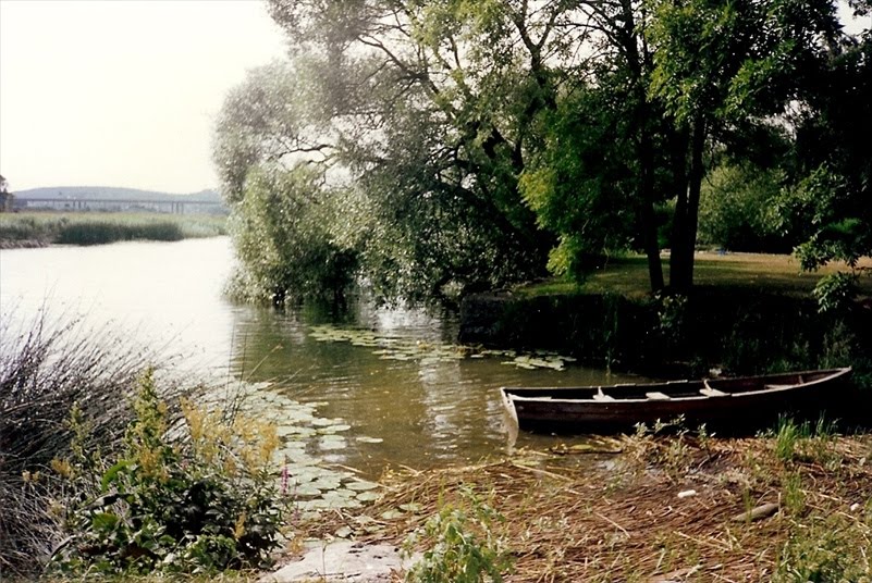 Båt vid Nordre älv i Kungälv 1994 by Biketommy