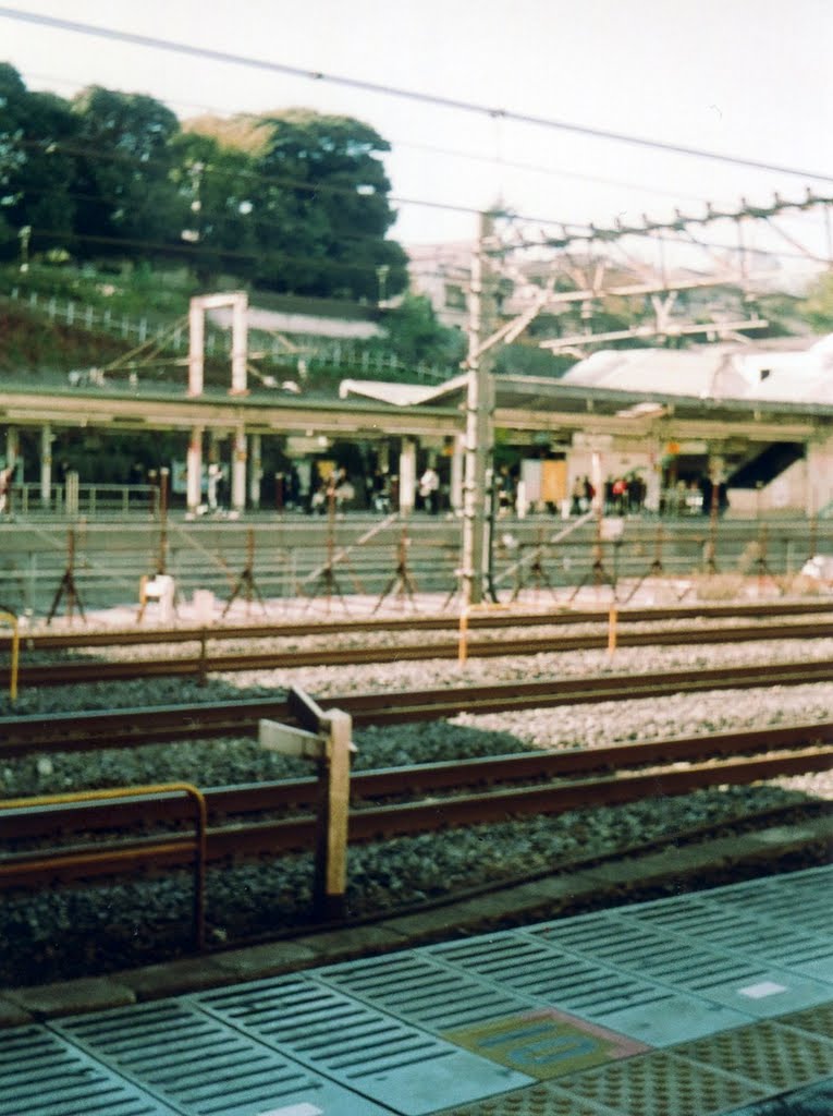 Nippori station by 菊本英紀