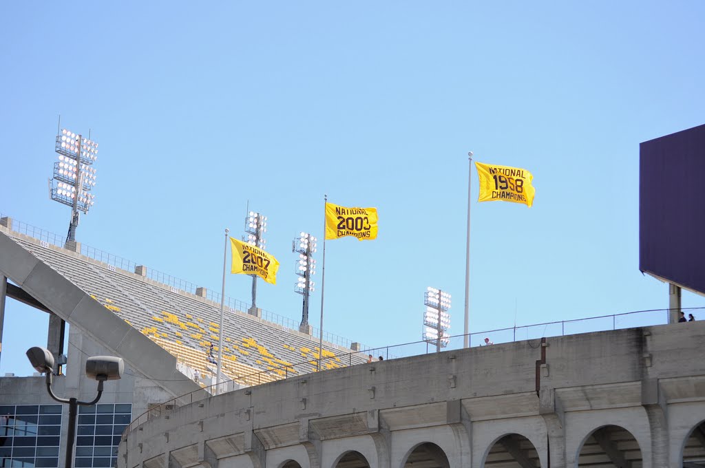 LSU Tiger Stadium by Terry   Williams