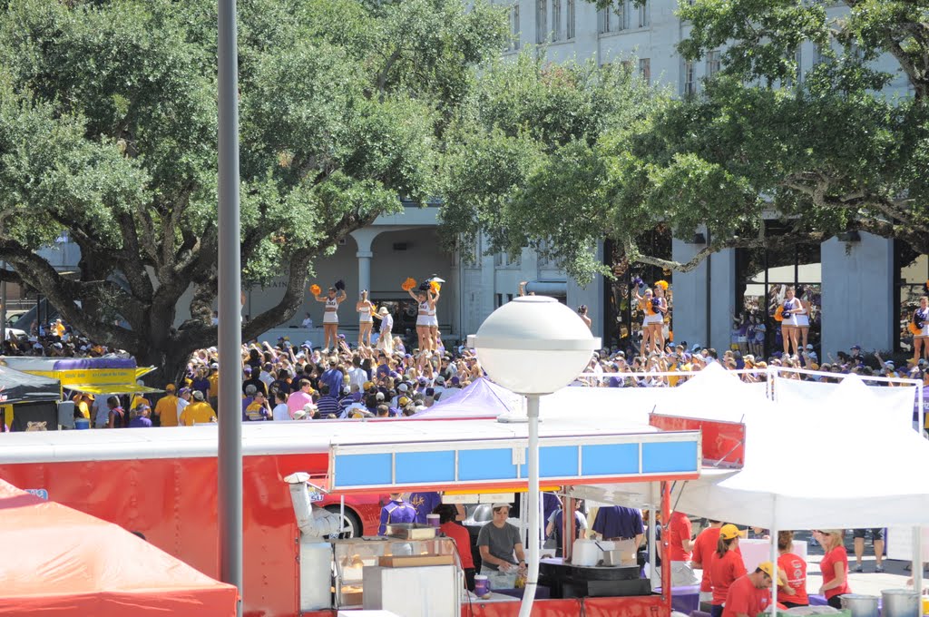 LSU Tiger Stadium by Terry   Williams