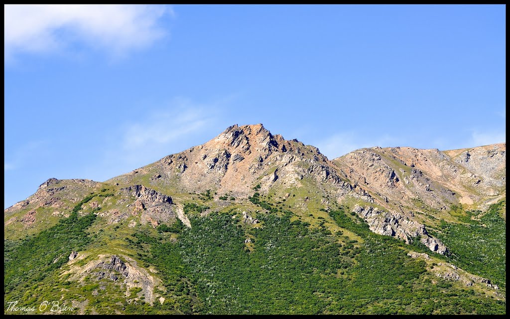 Denali Park Road, AK by TFO