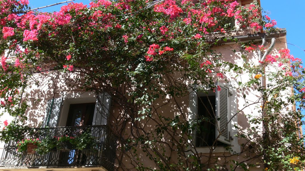 Blumengeschmücktes Haus im Zentrum von La Maddalena by © Didi S.