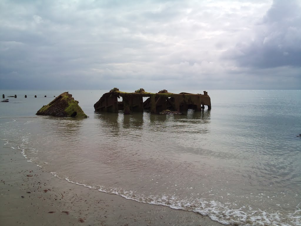 Aldwick Bognor Regis Mulberry Wreck by Dan Howes