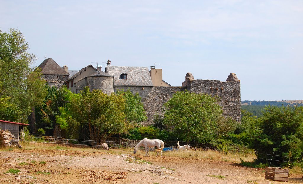 Château de Veyreau by Les Argonautes