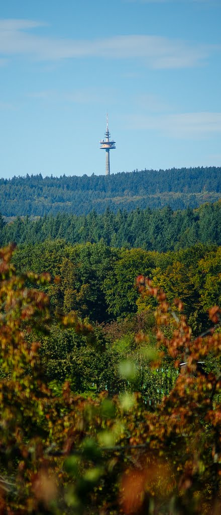 Sendemast auf der 'Hohen Wurzel' by Der SIGGY