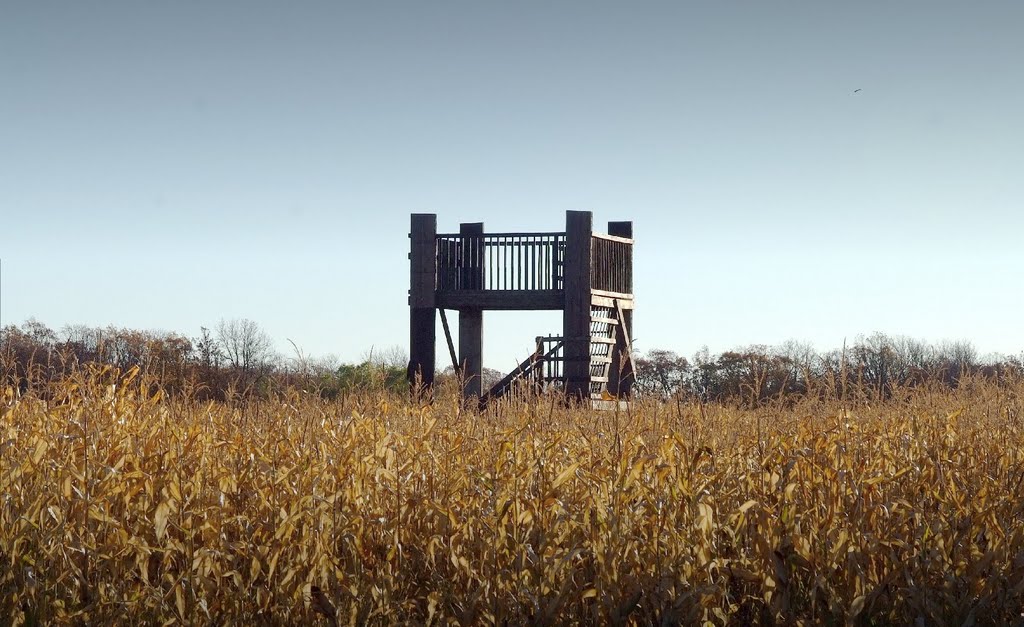 An Observation Tower over a Corn Field, South Winnipeg by R. Halim