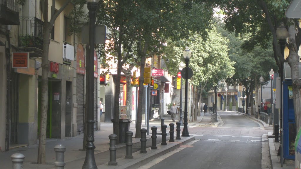 Gran de Sant Andreu. by Dolores Pérez Inglés