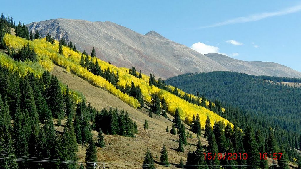 Aspens from Kenosha Pass by ranovak