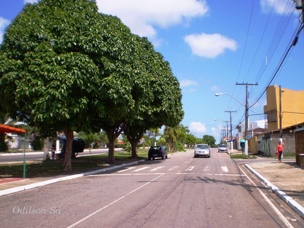 Avenida Júlio Cesar by Odilson Sá