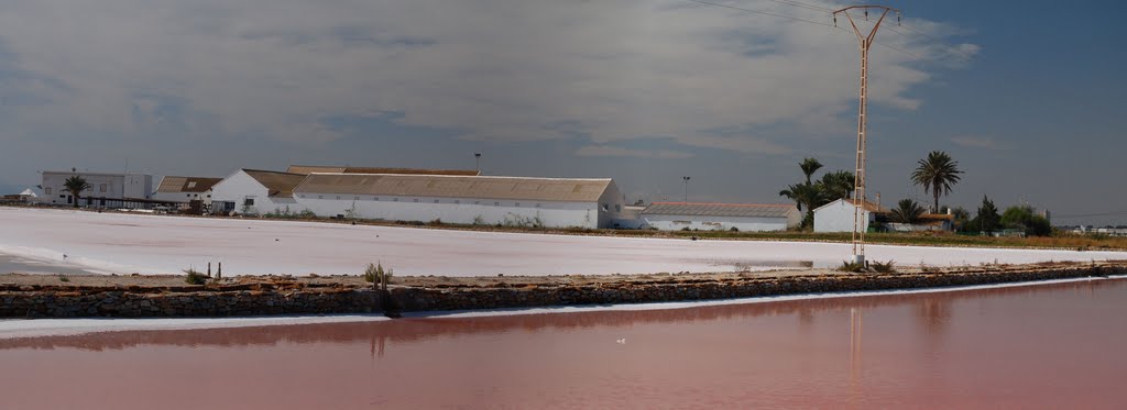 Salinas de San Pedro del Pinatar ( Cuajo de la Sal ) by Carlos 1