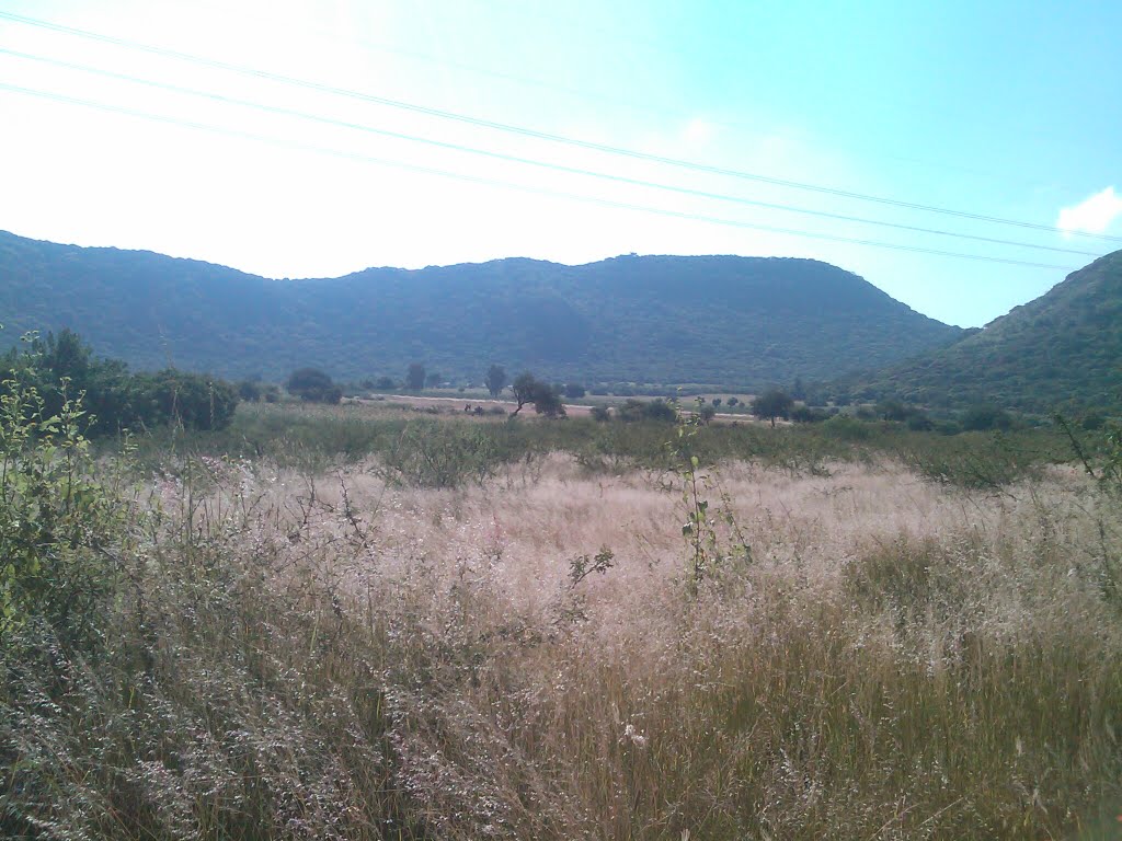 Valle de Santiago, Gto., Mexico by agp5784