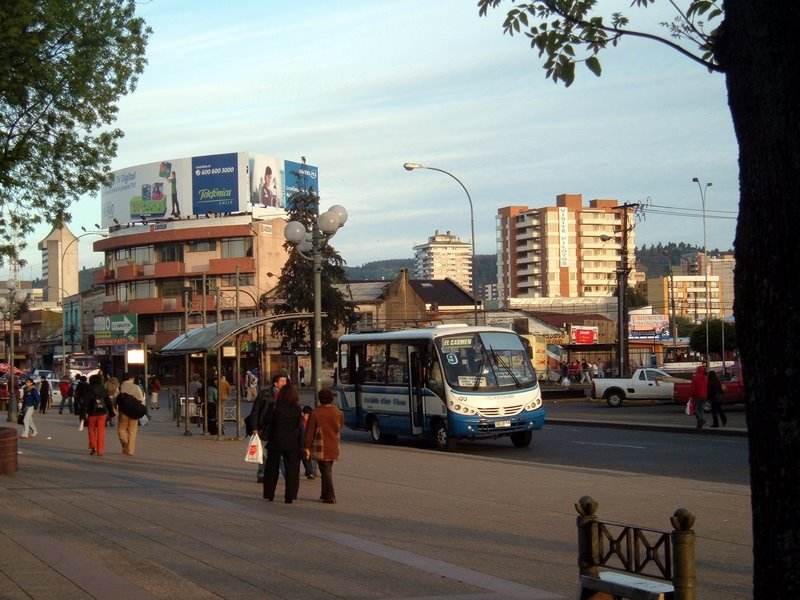 Av.MOntt by perrozorro