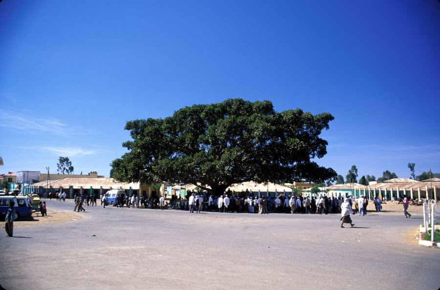 Axum, Ethiopia 2002 by Len Gao