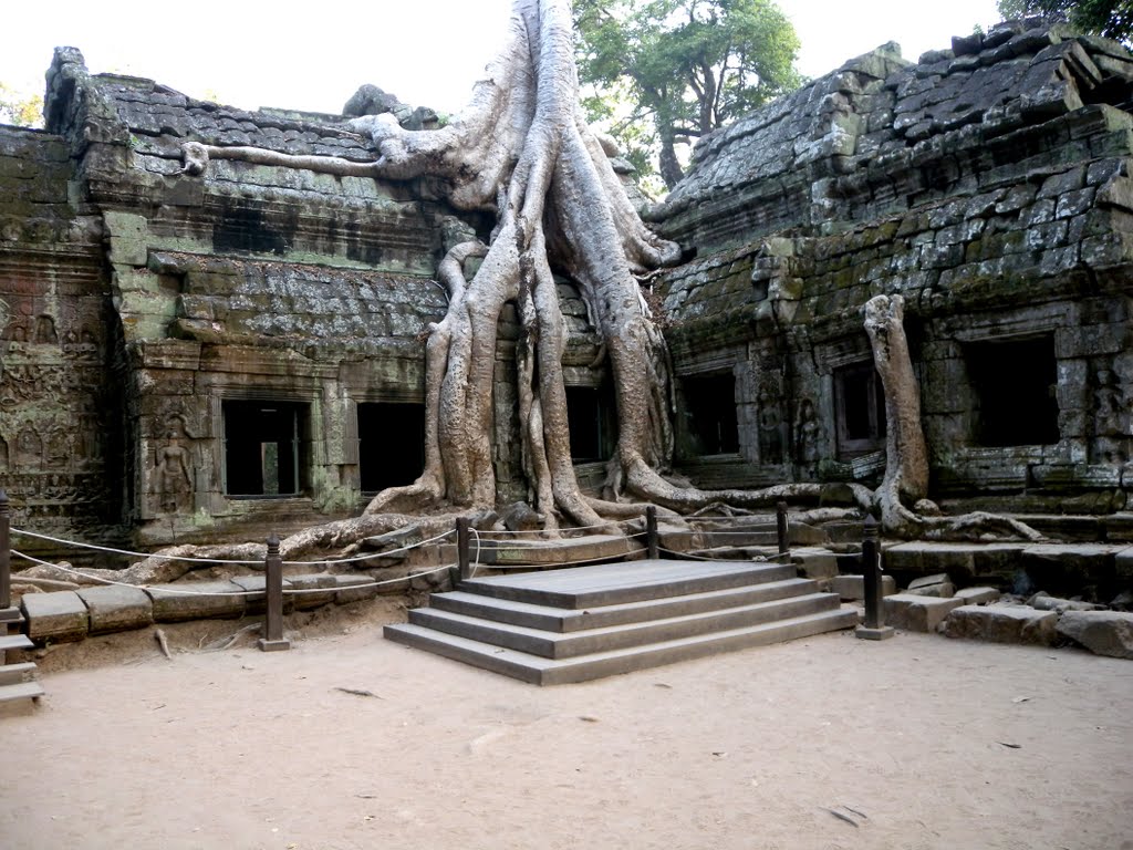 Cambogia, il tempio di Ta Prohm ad Angkor by www.nunavut.it, di G…