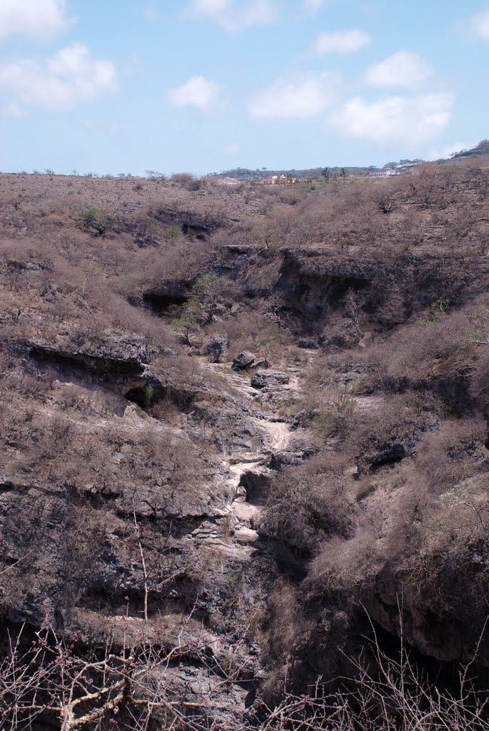 Tawi Atayr The Well of the Birds sink hole by Charles R