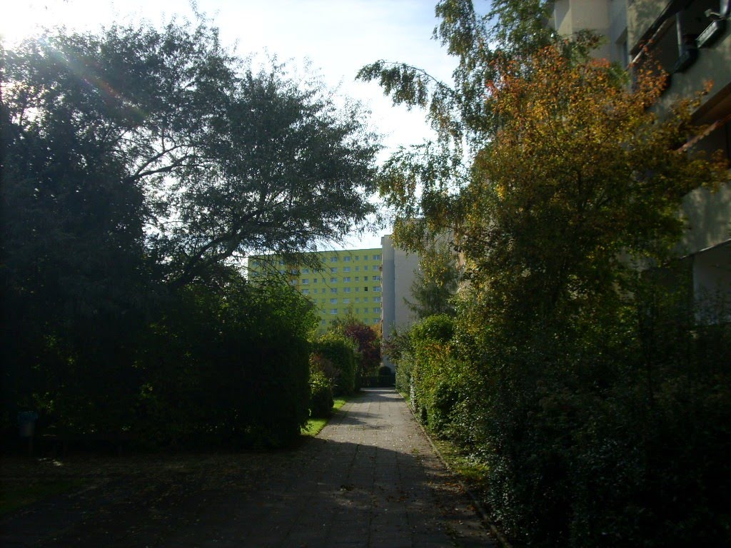 Jamboler Straße, Rückseite, 2010 by Jörg Hofmann