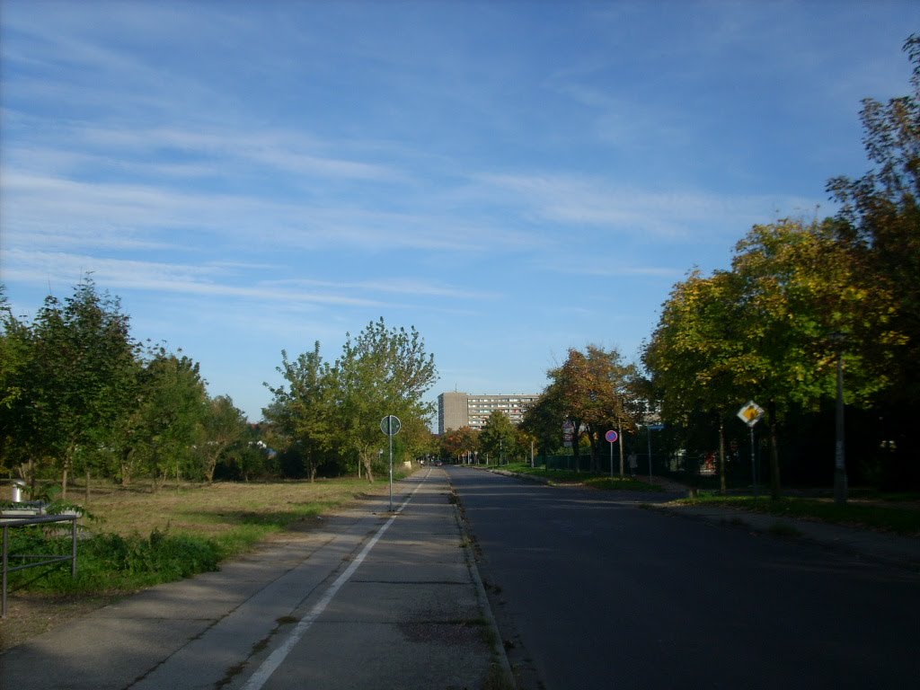 Murmansker Straße, Blick zur Elsa-Brandström Straße, 2010 by Bogenmann