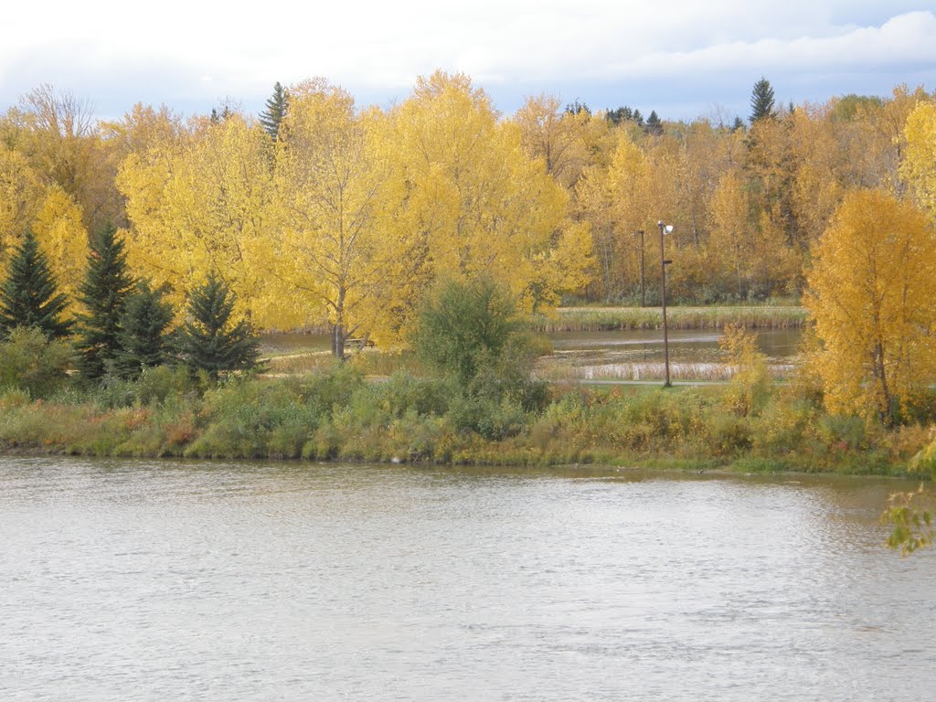 Bower Ponds in autumn by trekker