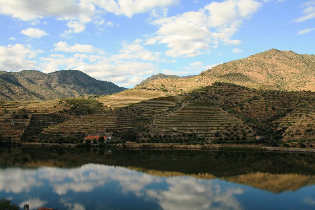 River Douro looking like a Lake!!! by Mário Eloi Castro