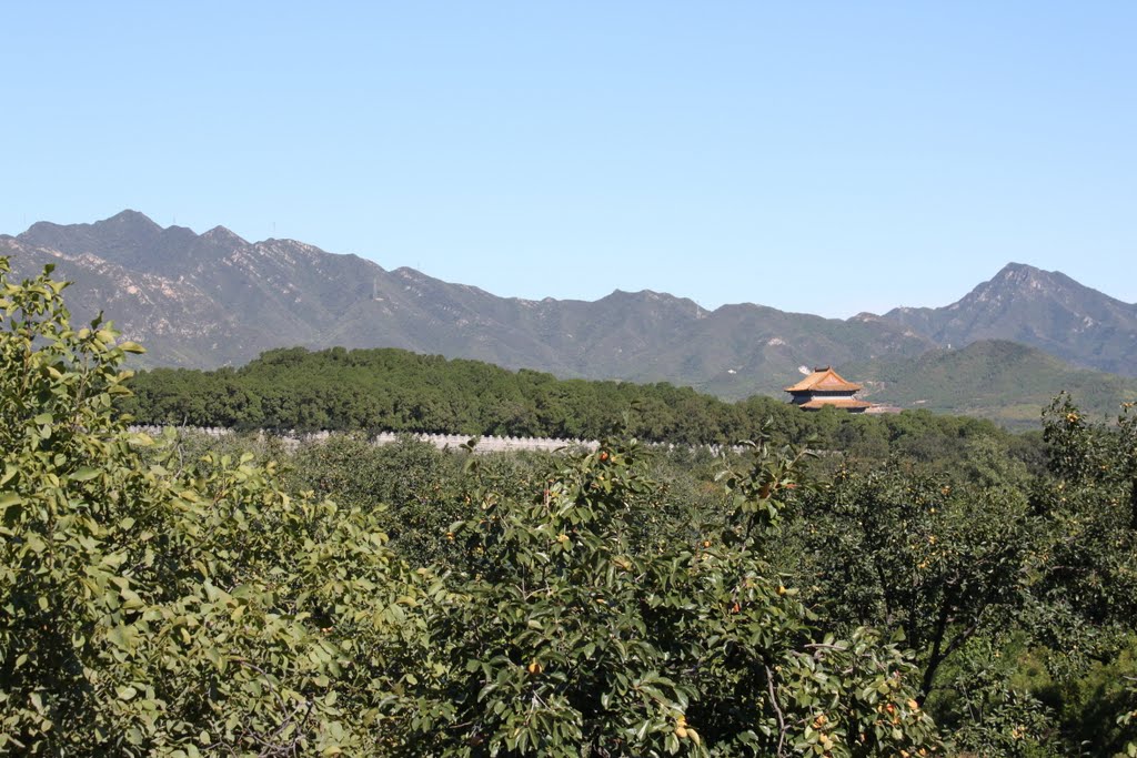 昭陵博物馆--遥望定陵(Dingling Tomb Seen from Zhaoling Tomb) by lxl0428