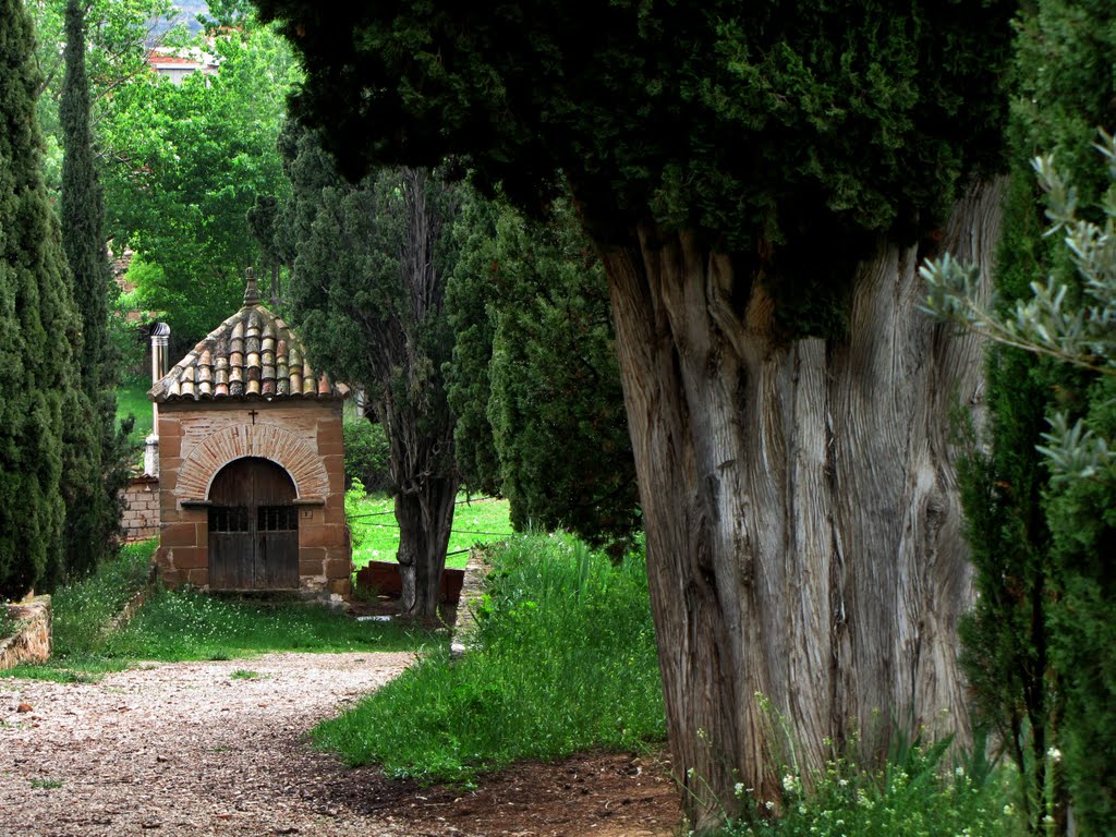 Calvario by josep vericat