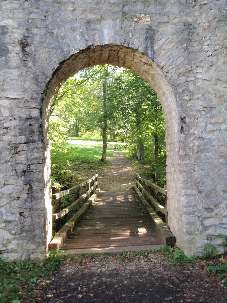 Tor der Ruine Rauber von innen by Roland Freudenreich