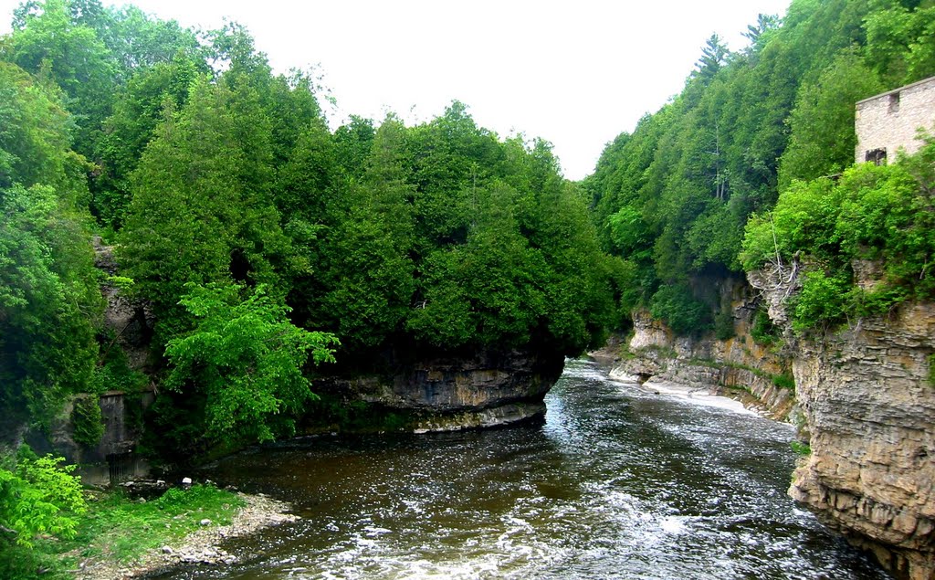 Elora Gorge, Ontario by Brian Carter