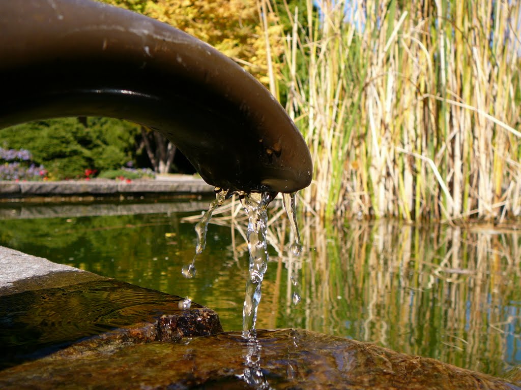 Brunnen im Kannenfeldpark by percy ottinger