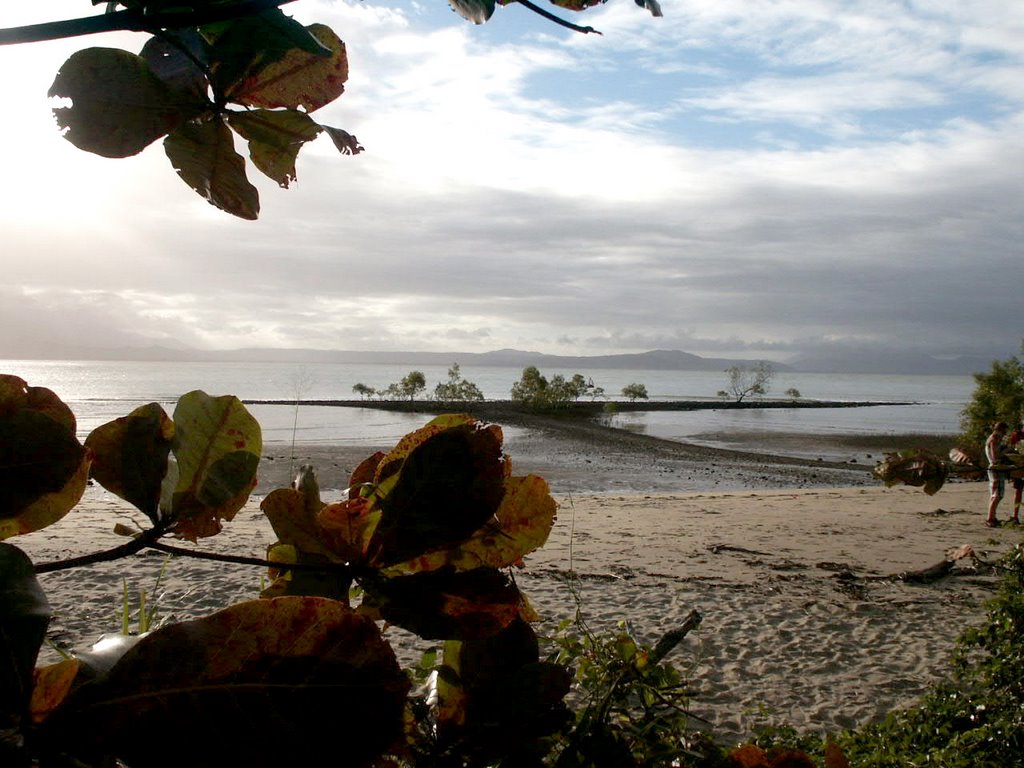 Port Douglas, Queensland, Australia by Alexandra Connolly