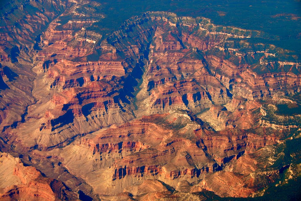 Grand Canyon North Rim, AZ by Michael Jiroch