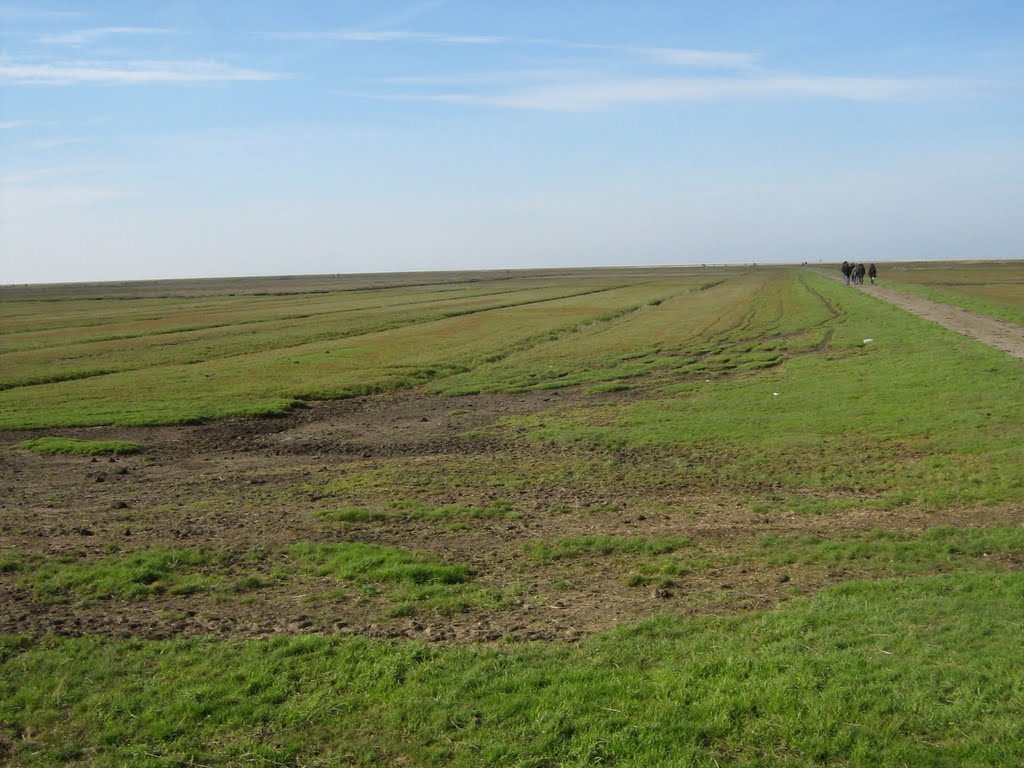 Fussweg zum Leuchtturm Westerheversand by kontor.r3