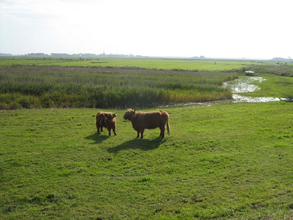 Zwei im Binnenland von Weterheversand by kontor.r3