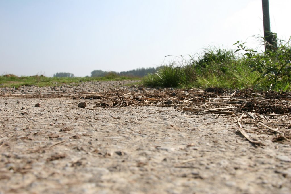 Dirt track, summer 2007 by j.s.