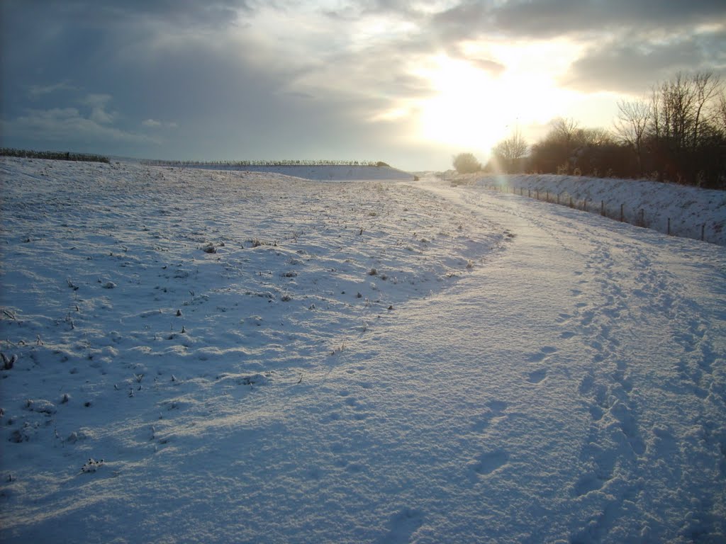 Snow Walk by snappy chappy