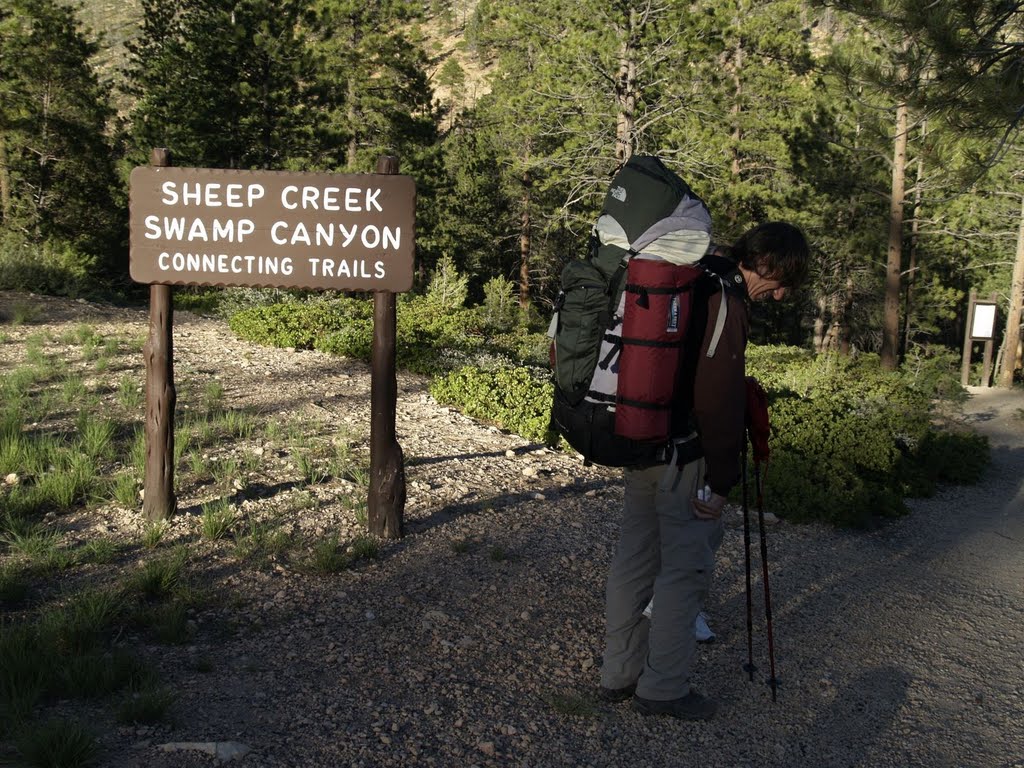 Utah, Bryce, Sheep Creek Swamp Canyon by Ольга Щедрова