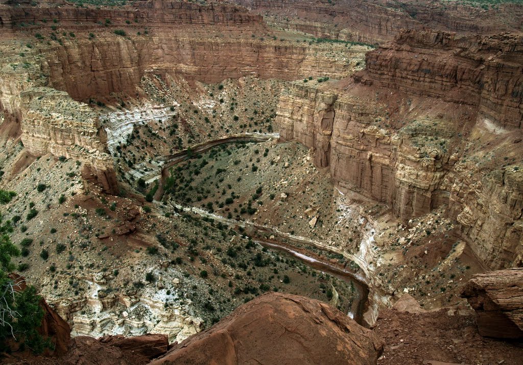 Utah, Capitol Reef, Gooseneck by Ольга Щедрова