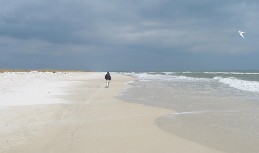 Empty beaches of St George Island State Park, Florida by Brian Carter